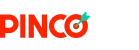 Logo giris.pincoessiz.ink